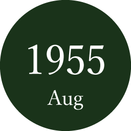 1955.8