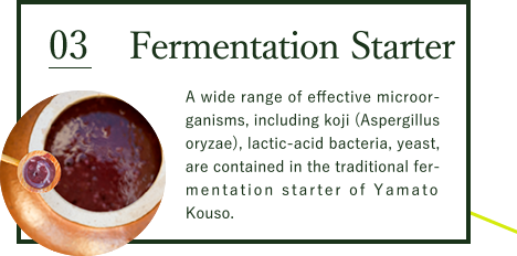 Fermentation starter