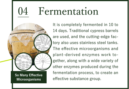 Fermentation