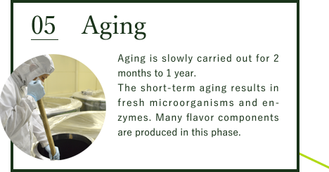 Aging