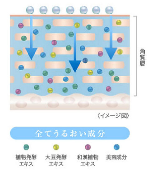 ナノ化コラーゲン