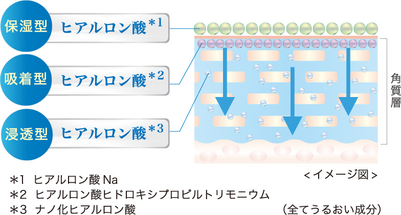 ３種類のヒアルロン酸