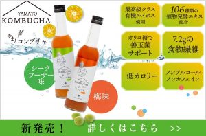 低カロリーで美味しいやまとコンブチャをオンラインストアで販売中