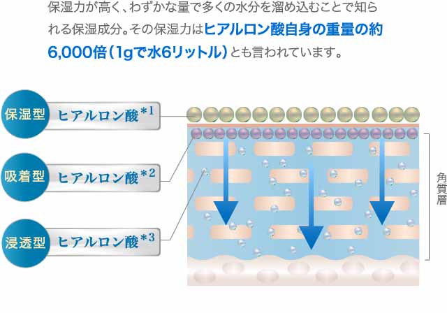 3種類のヒアルロン酸